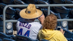 Cubs Fan Wearing Rizzo Jersey
