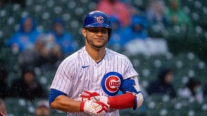 Contreras Smiling At The Plate