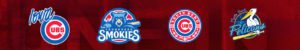 Cubs Minor League Logos On Red August 2021
